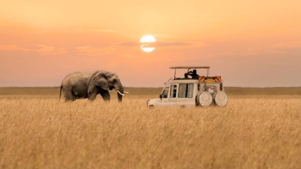 Africa