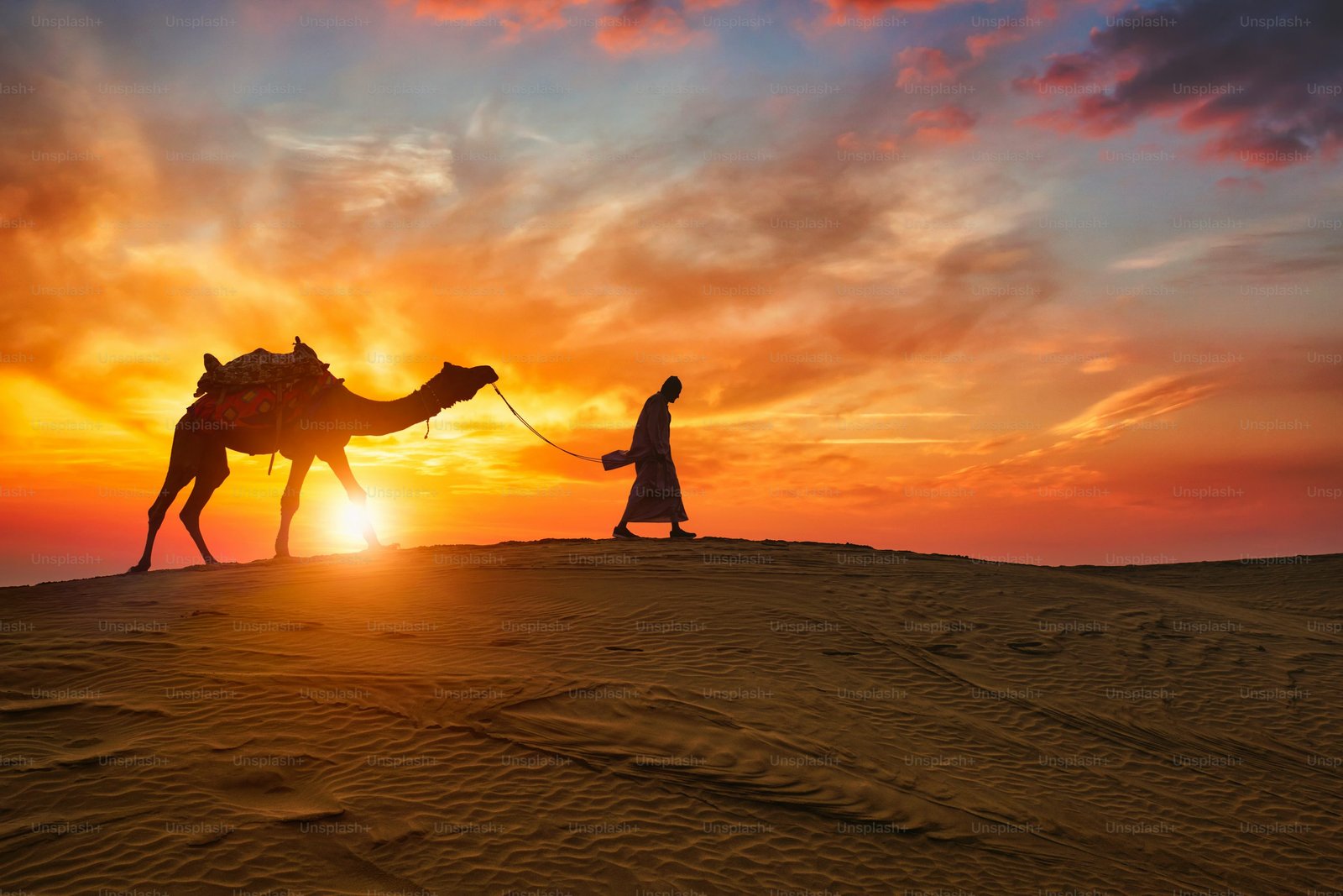 Destination Rajasthan